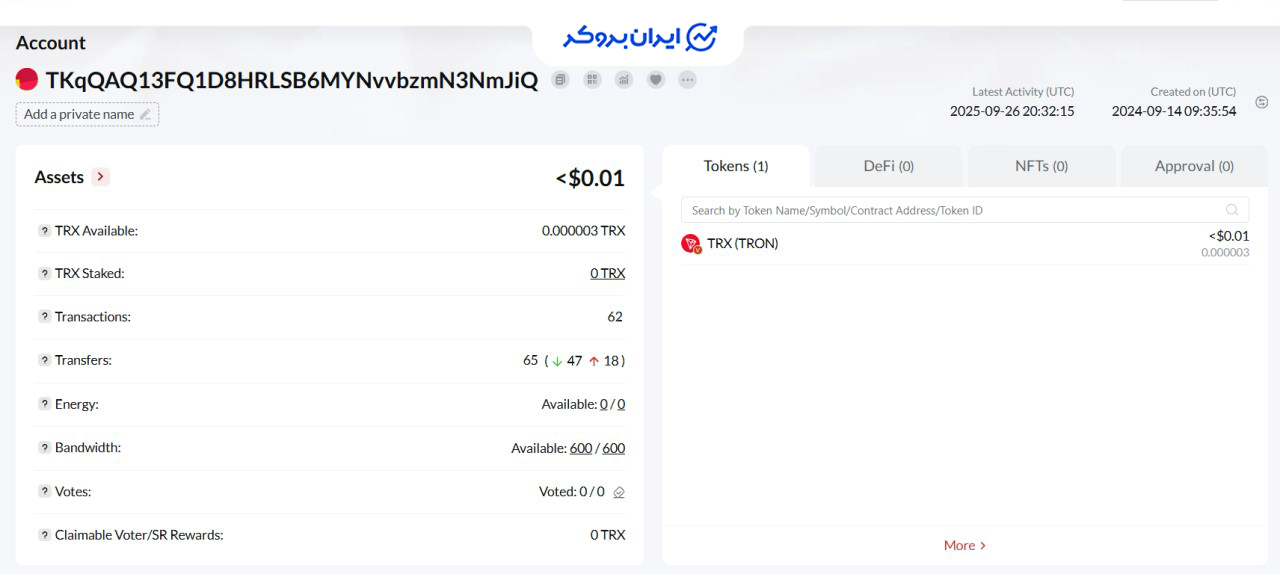 کیف پول تتر سایت Bit-wealthsecure