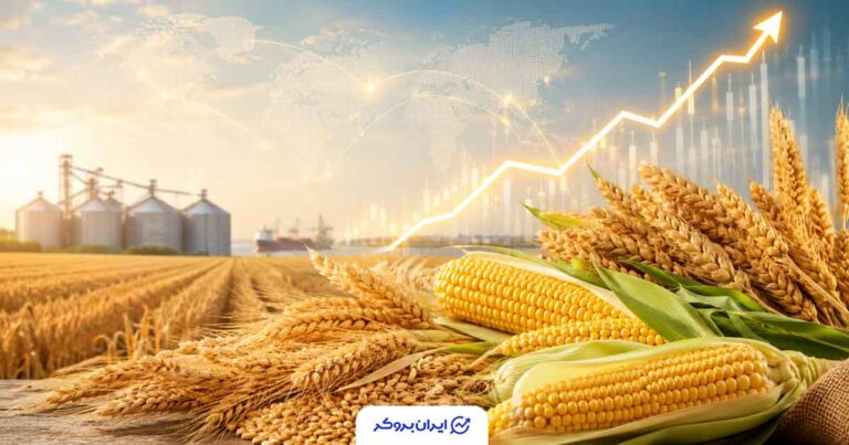 جهش قیمت غلات در بازار جهانی؛ گندم بیش از ۱۲ درصد در یک هفته رشد کرد