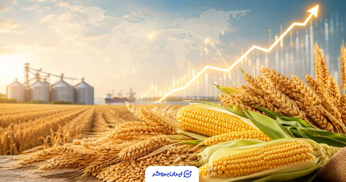 جهش قیمت غلات در بازار جهانی؛ گندم بیش از ۱۲ درصد در یک هفته رشد کرد