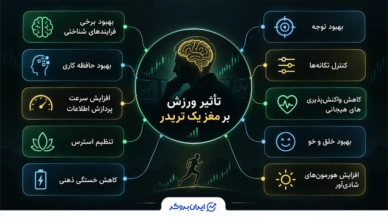 تأثیر ورزش بر مغز یک تریدر