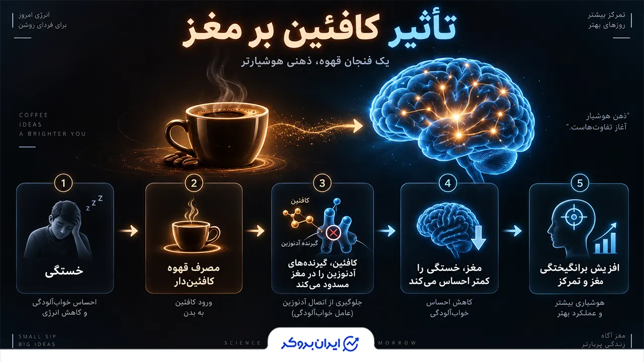 تأثیر کافئین بر مغز