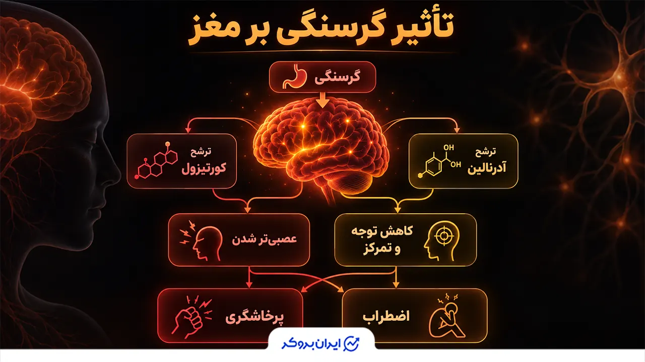تاثیر گرسنگی بر مغز