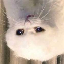 29625