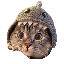 30309