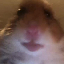 30550