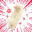 31254