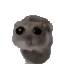 31284