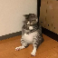 31493