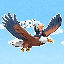 33036