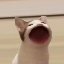 33470