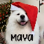 34134