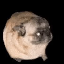 34138