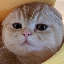 34848