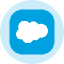 Salesforce Inc (Derivatives)