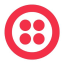Twilio Inc (Derivatives)