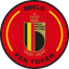 Royal Belgian Football Association Fan Token